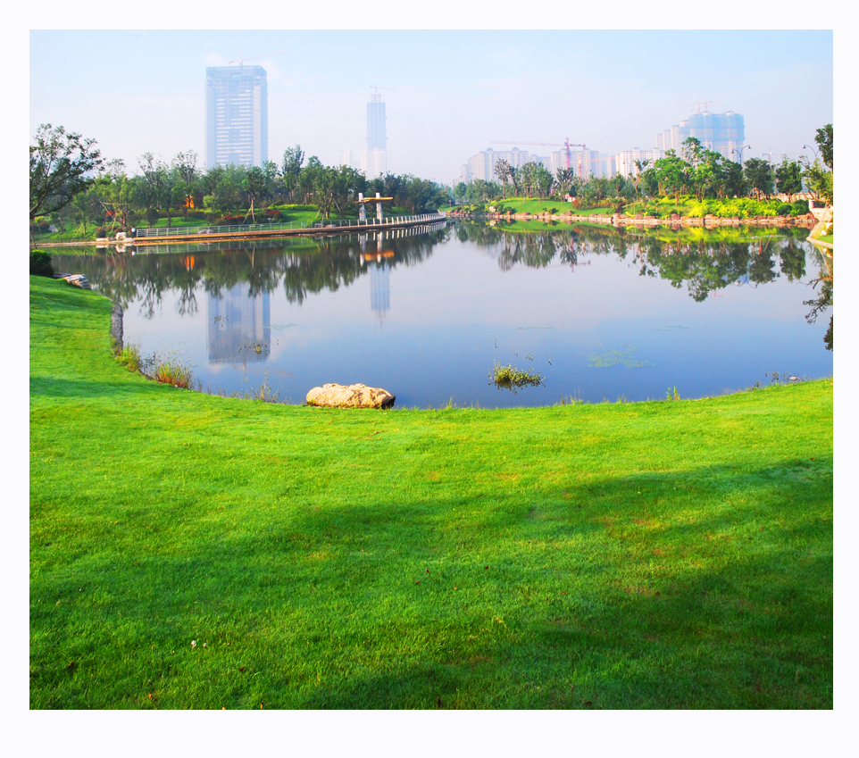 绿色氧吧绝佳秀色 (2).jpg