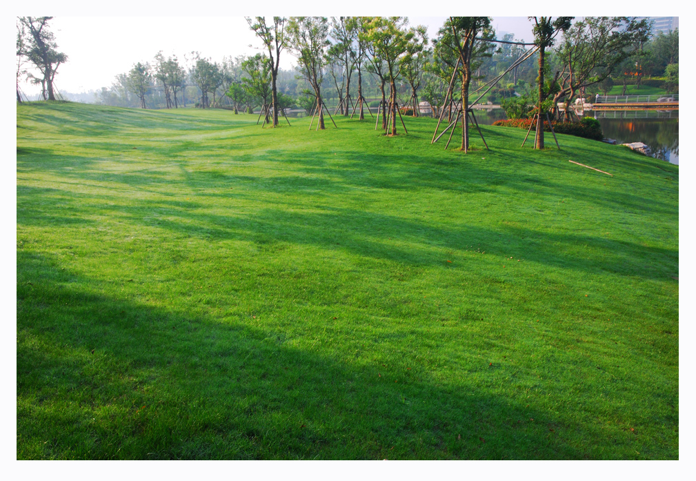 绿色氧吧绝佳秀色 (4).jpg