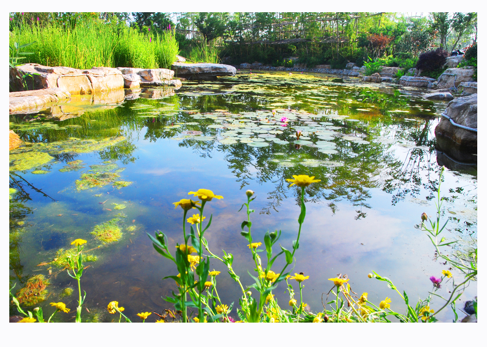 绿色氧吧绝佳秀色 (7).jpg