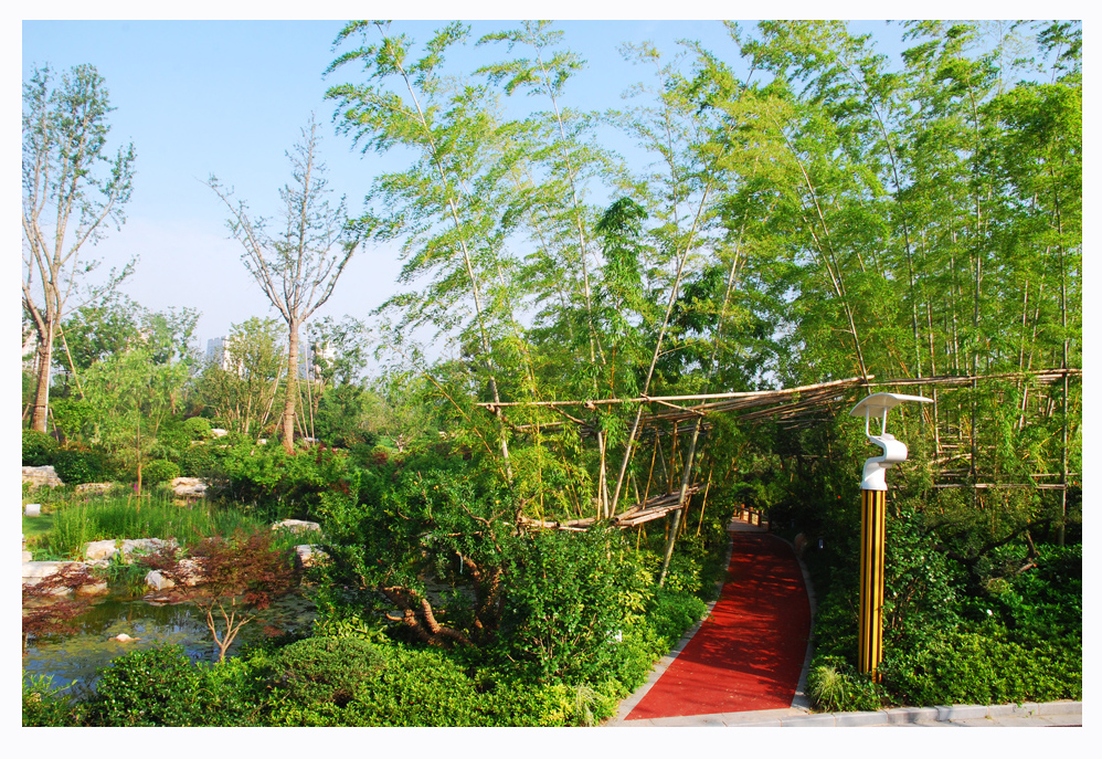 绿色氧吧绝佳秀色 (8).jpg