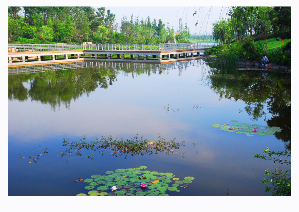 绿色氧吧绝佳秀色 (9).jpg