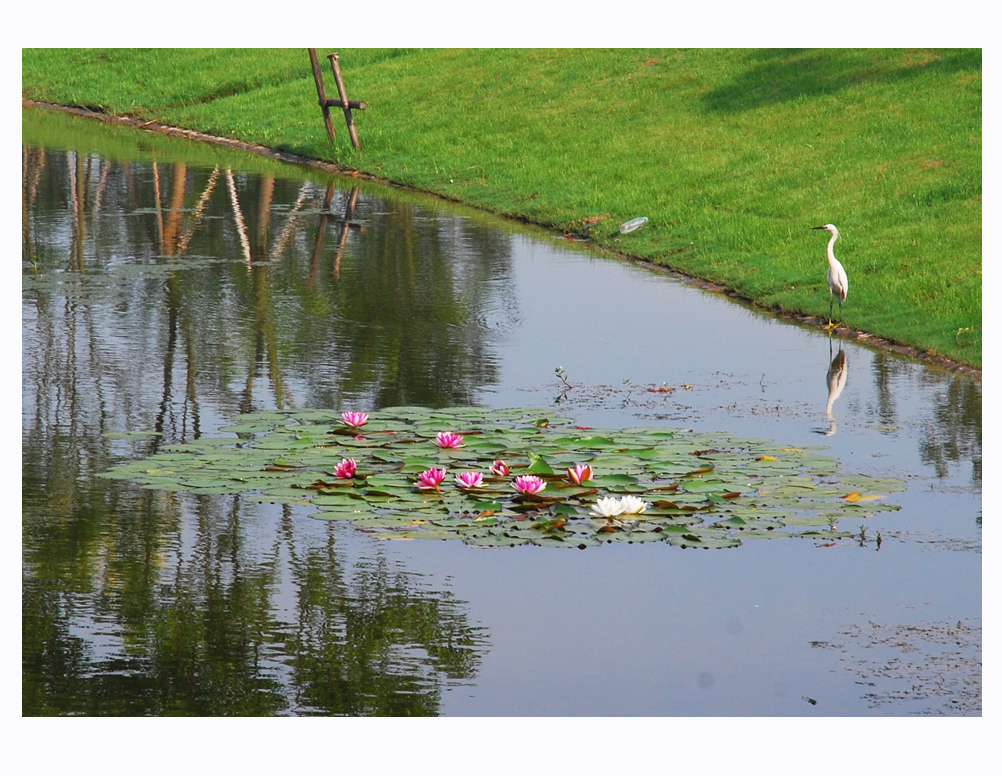 绿色氧吧绝佳秀色 (10).jpg