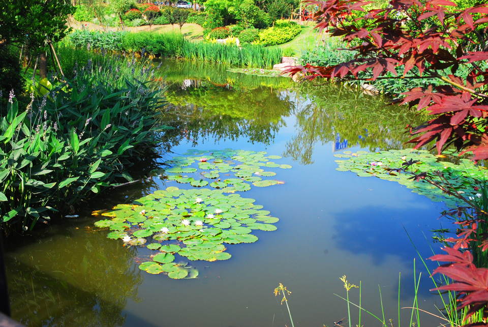 绿色氧吧绝佳秀色 (11).jpg