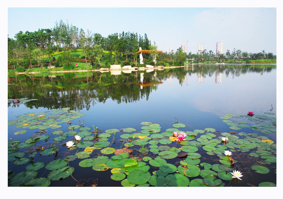 绿色氧吧绝佳秀色 (12).jpg