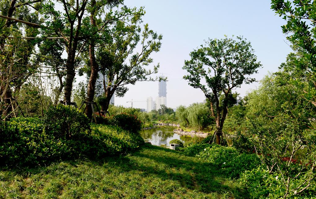 能达中央生态公园9.jpg