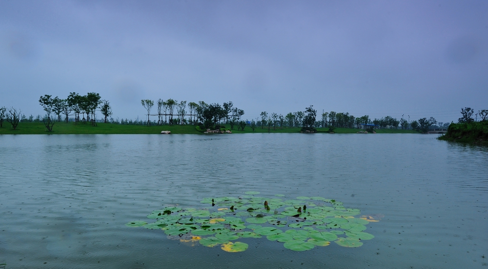 5.雨中的公园湖面_副本.jpg