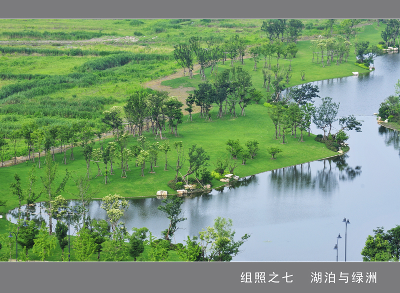 组照之七  湖泊与绿洲....jpg