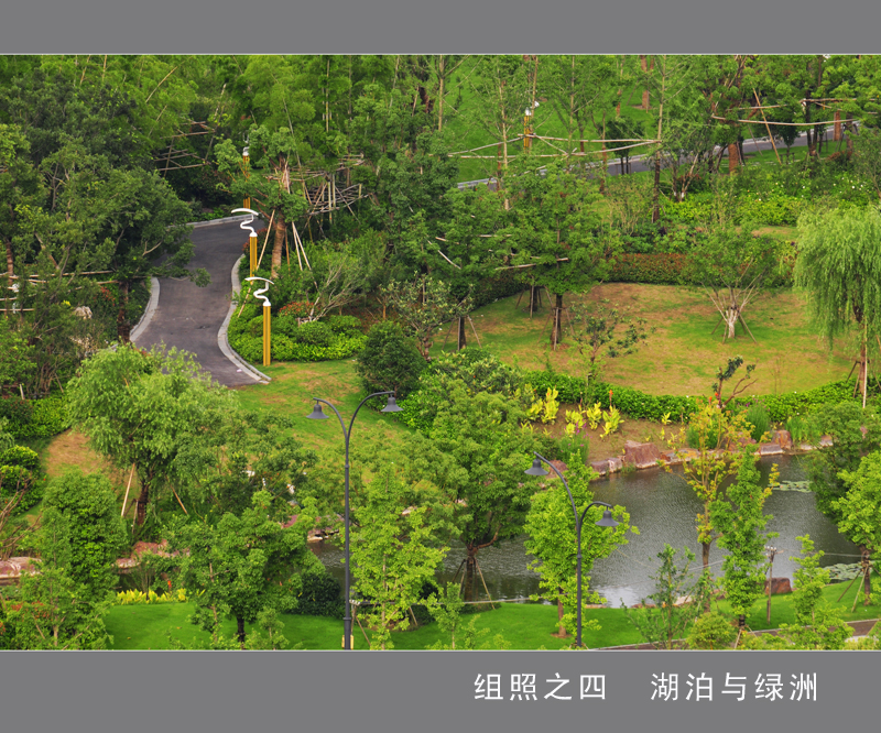 组照之四  湖泊与绿洲......jpg