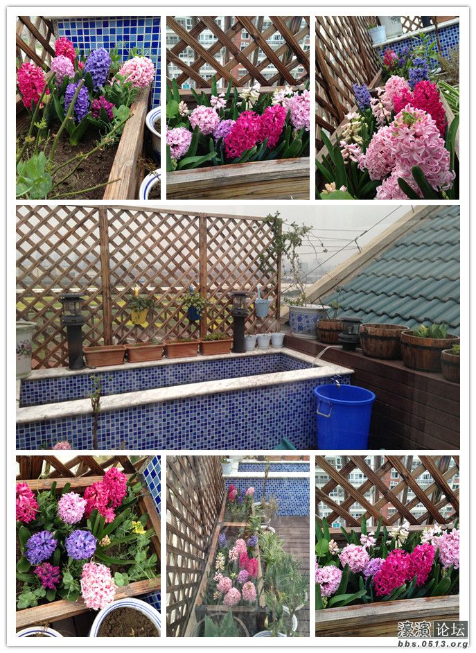 照片 024_副本.jpg