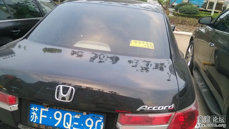 调整大小 1376-2.jpg