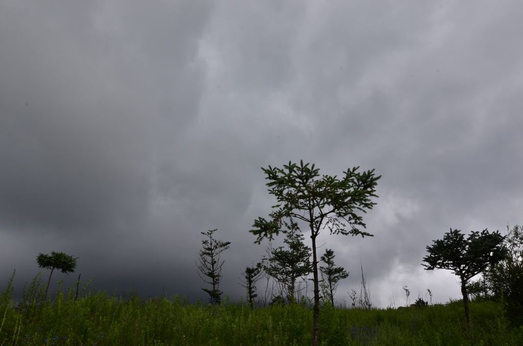 玉龙雪山旅游集散中心——甘海子牧场一角