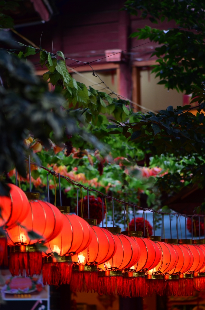 大红灯笼高高挂