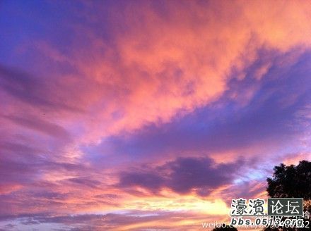 晚上的风景图画 103716w39zj77j890a09o7.jpg