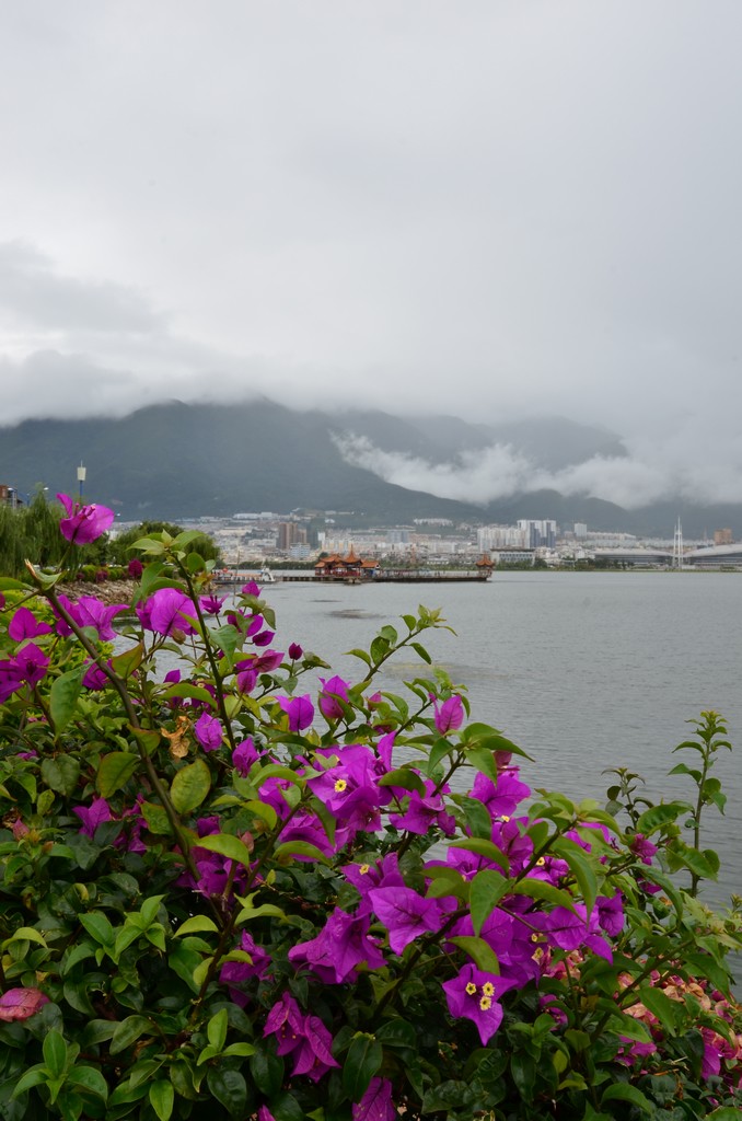 眼前花，背后山海