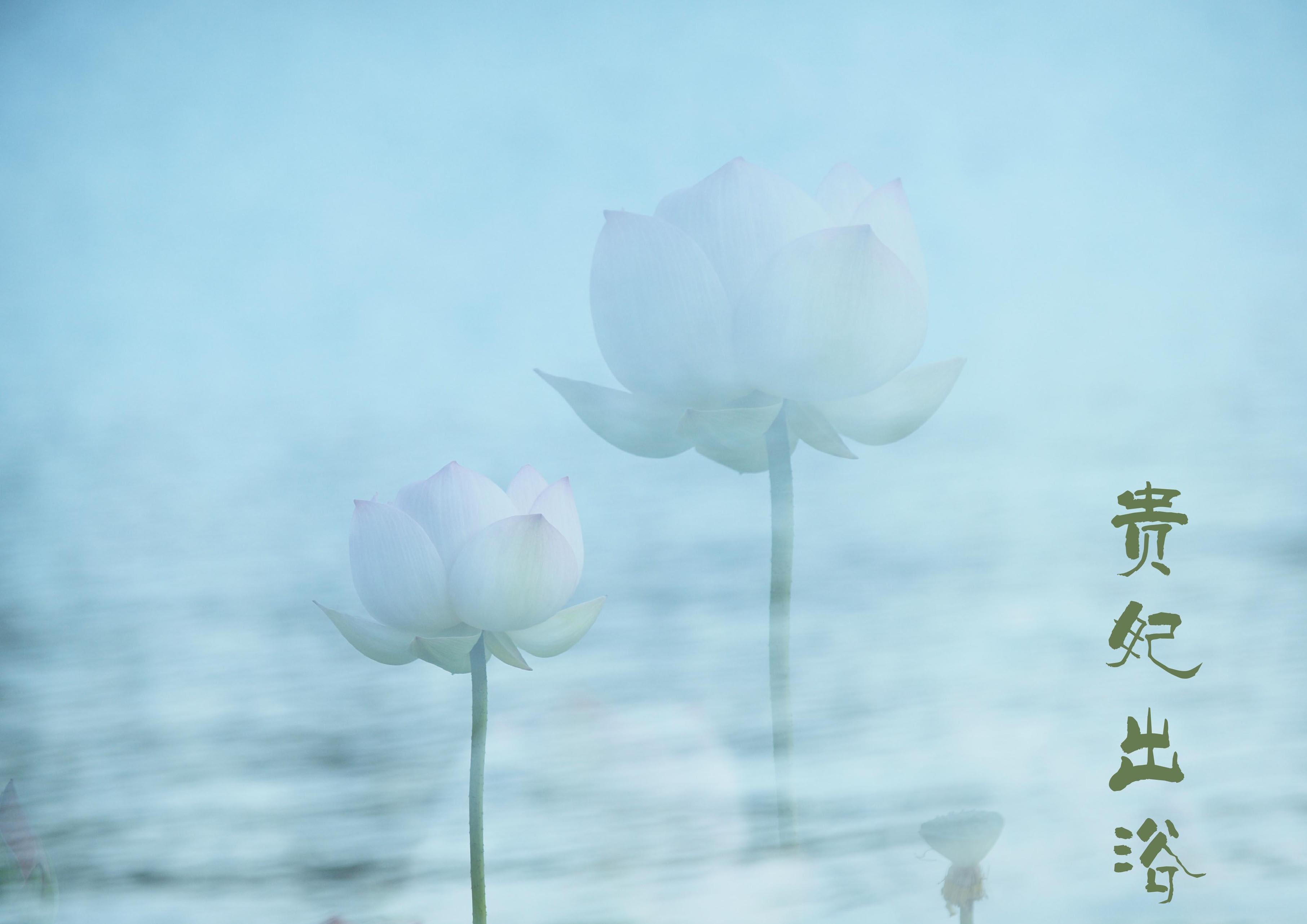 复件 复件 P7190742_conew6.jpg