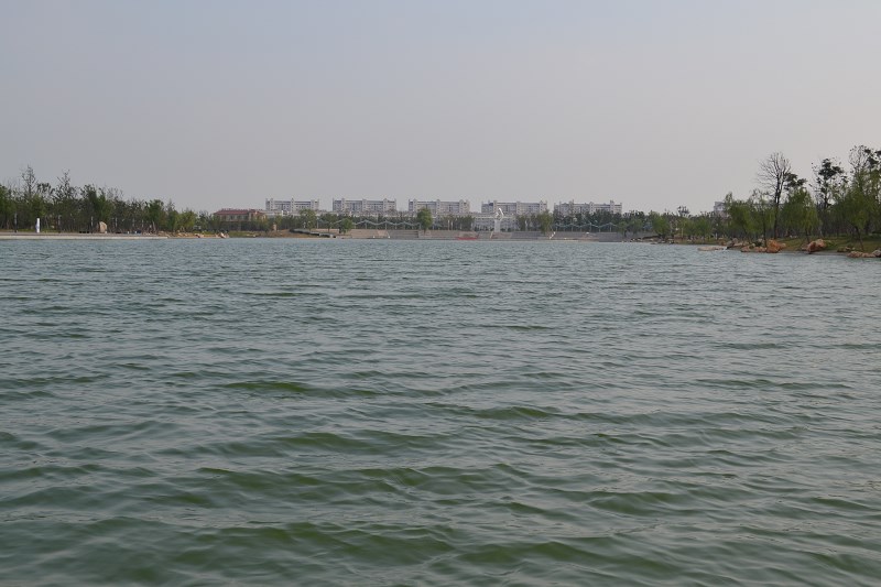 阳光洒在湖面上