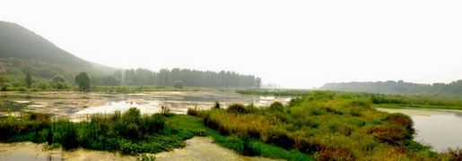 龙门湿地.jpg