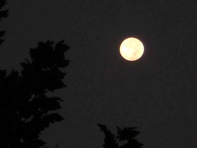 十五的月亮十六圆