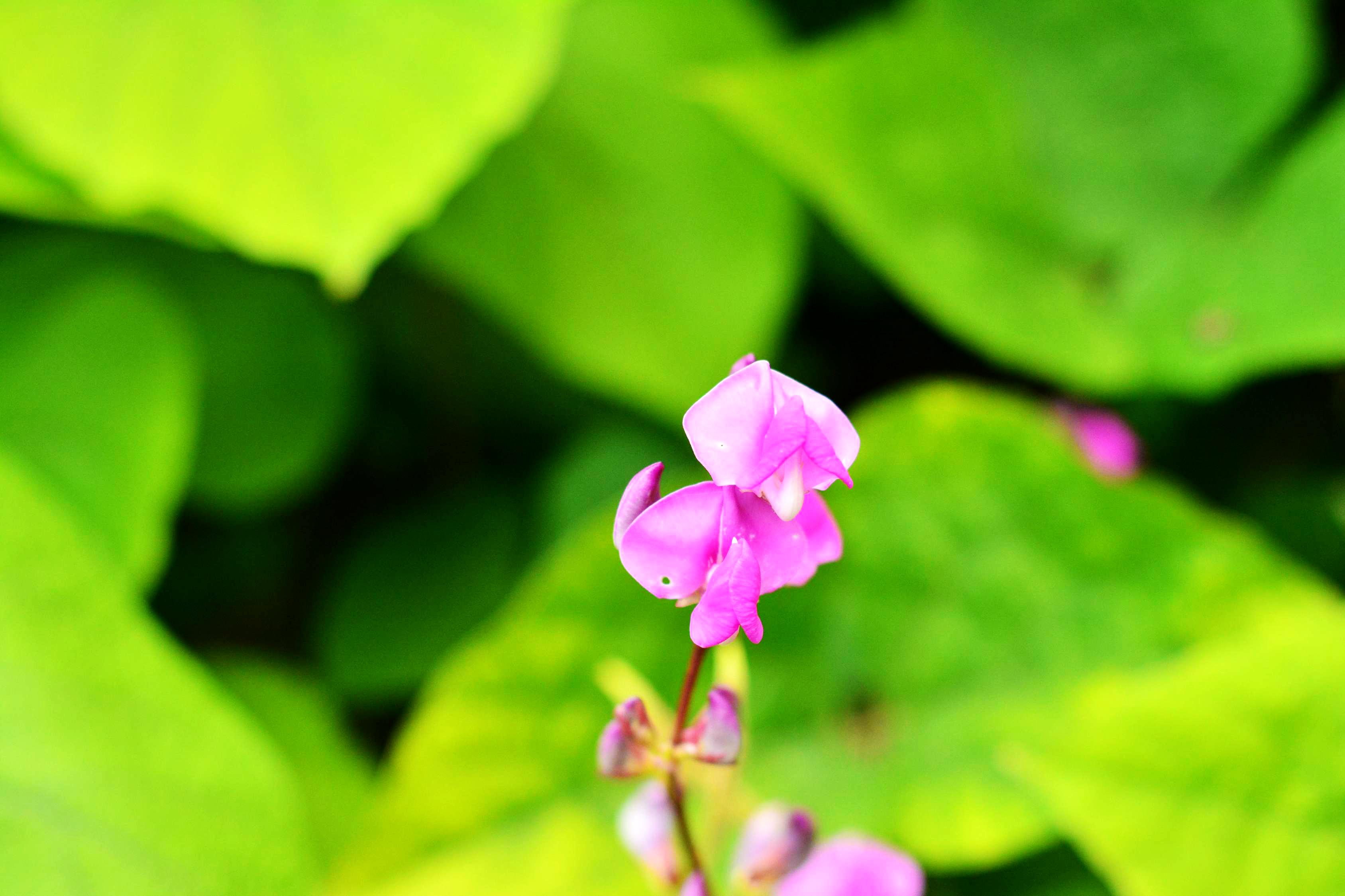 从没发现这竟然这么好看