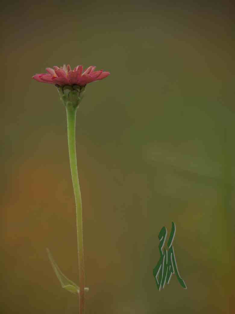 复件 P9244487_conew1.jpg