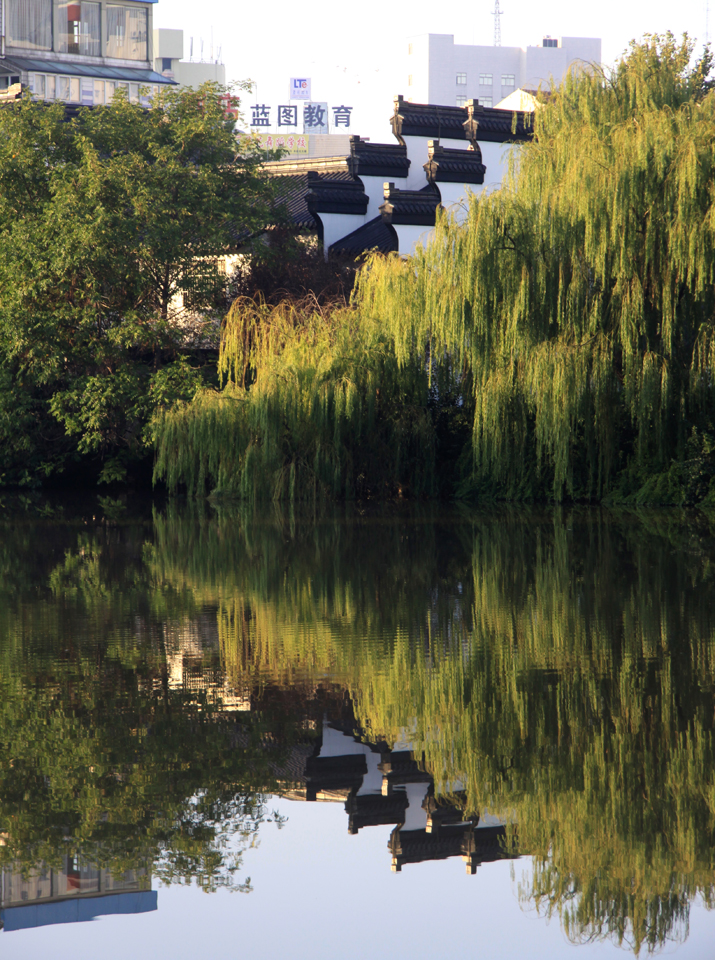 IMG_2979 (20)副本.jpg