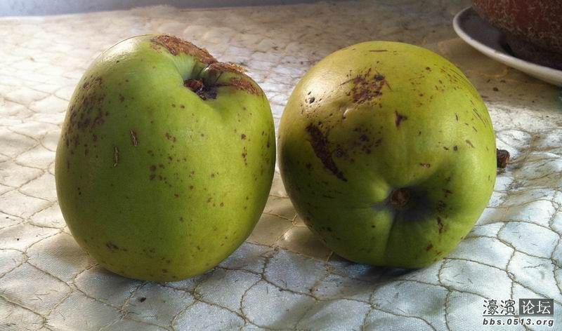 调整大小 IMG_0628.JPG