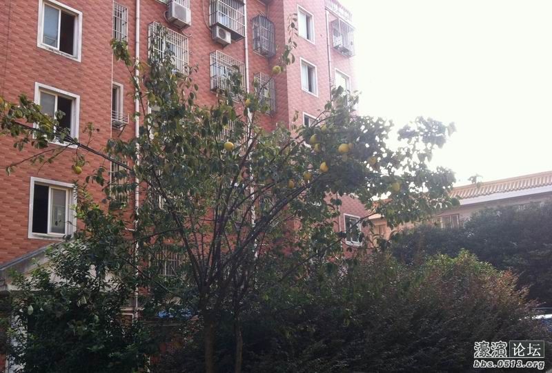 调整大小 IMG_0629.JPG