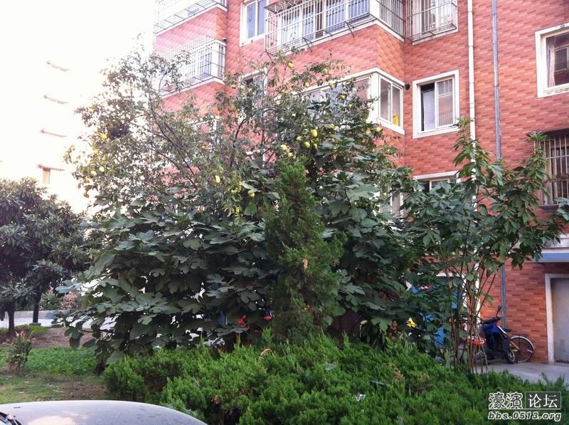 调整大小 IMG_0631.JPG