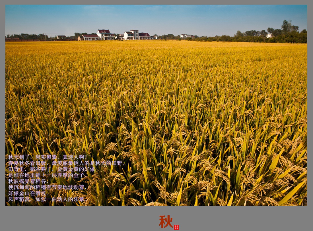 20131026秋天001_副本_副本.jpg