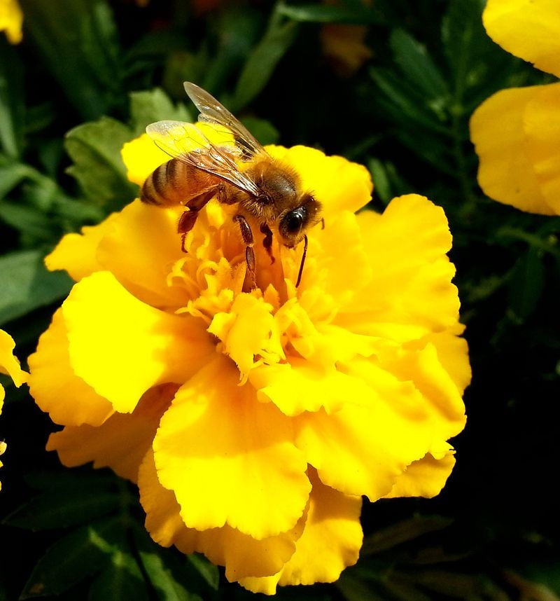 复件 20131023_141749(1).JPG