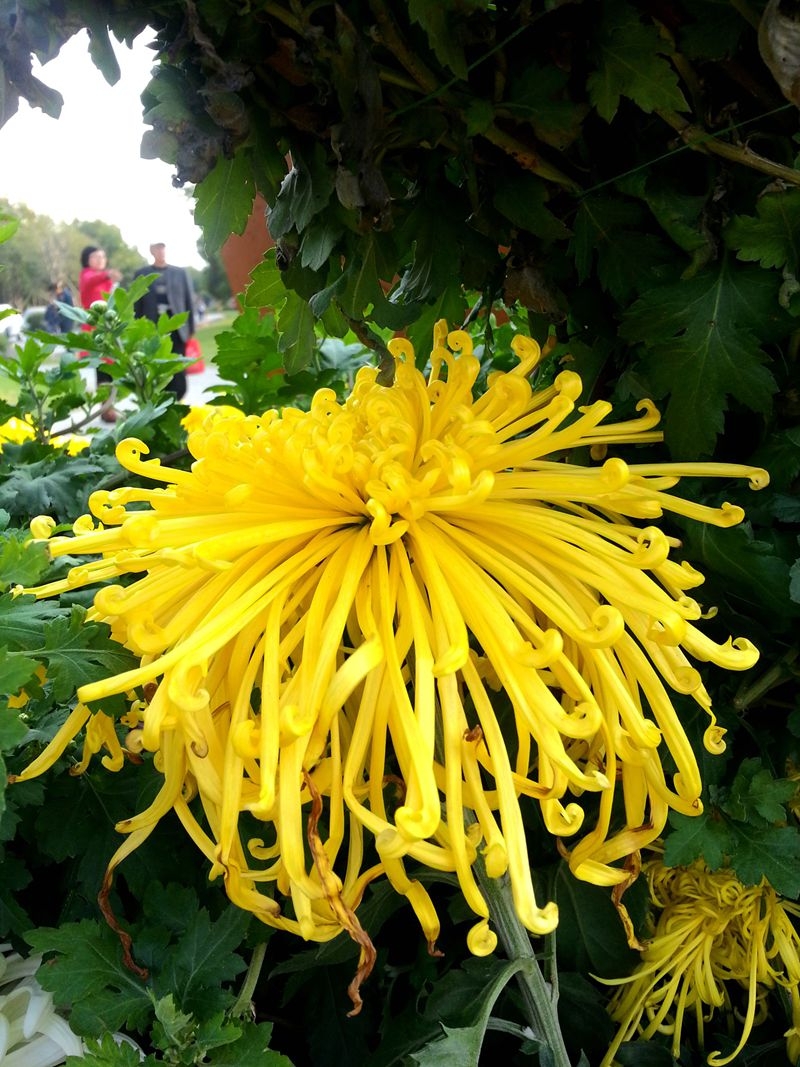 复件 20131026_153140(1).JPG