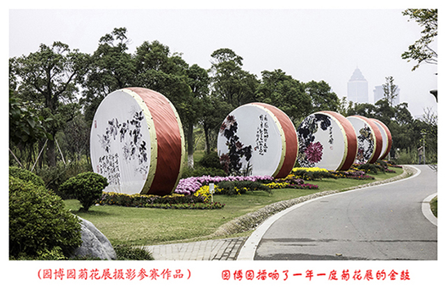 园博园擂响了一年一度菊花展的金鼓