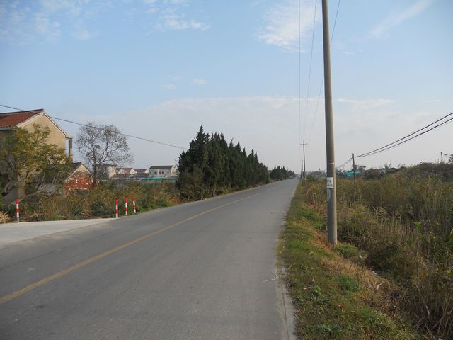 通向长江口北岸的公路