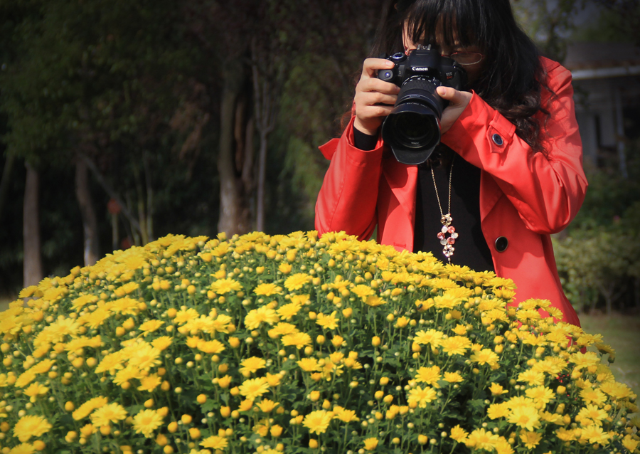 菊展参赛 (7).jpg