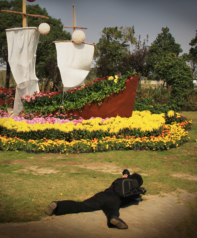 菊展参赛 (8).jpg