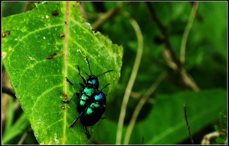  大白天的这样不好吧