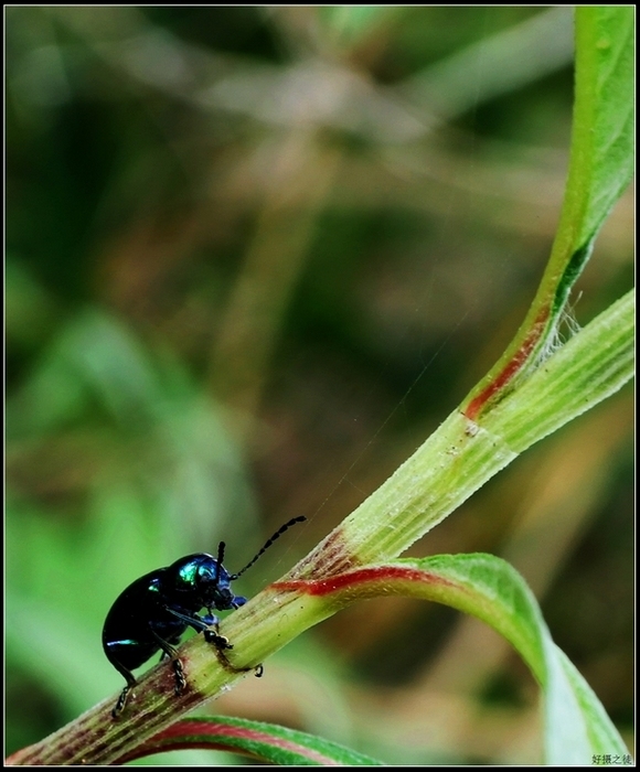 卧槽，差点抓现行，还是回家洗洗睡吧