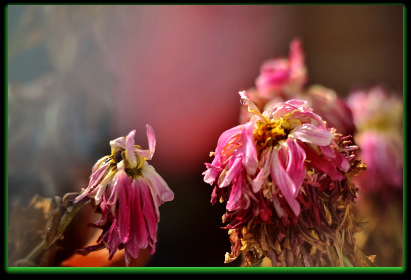 DSC_7536_副本 - 副本.jpg