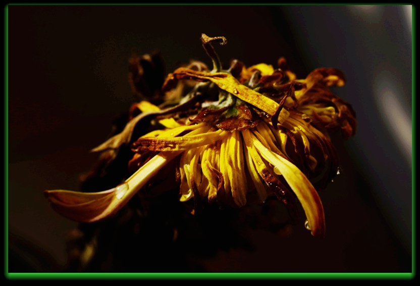 DSC_7544_副本 - 副本.jpg