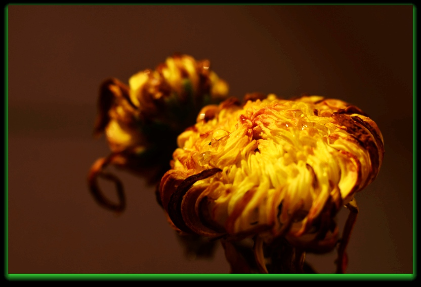 DSC_7555_副本 - 副本.jpg