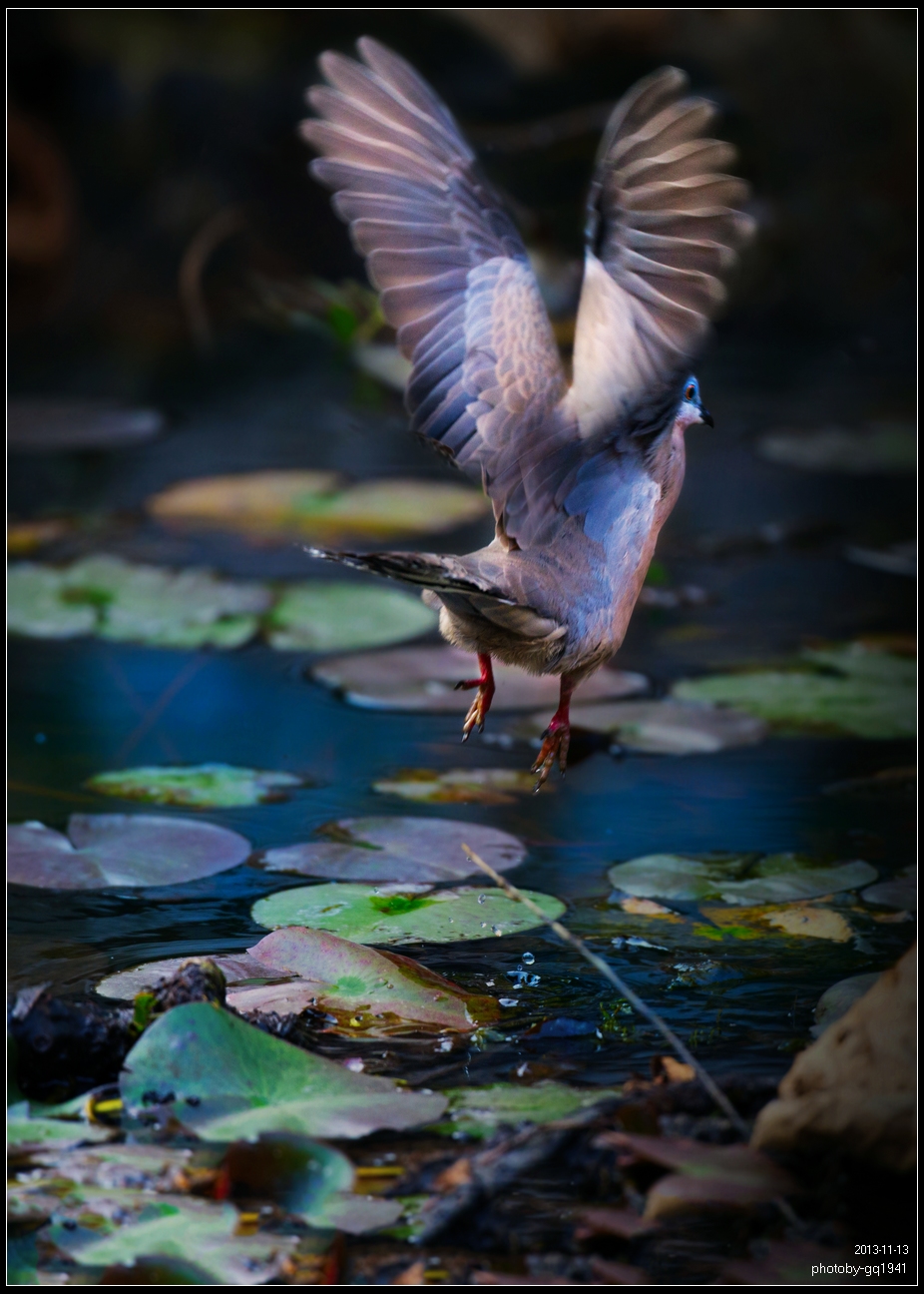 IMG_9533 副本s.jpg