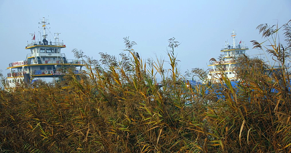 蒹葭苍苍，白露为霜。所谓伊人，在水一方。