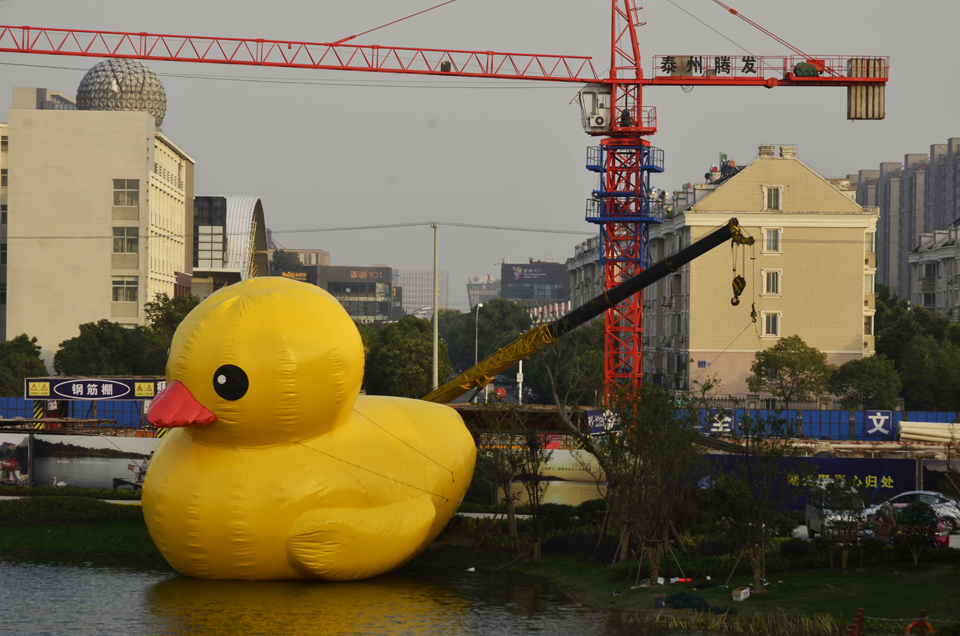 南通开发区天星湖畔出现大黃鸭 (5).jpg