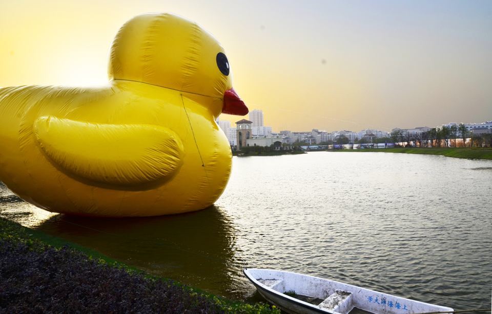 南通开发区天星湖畔出现大黃鸭 (1).jpg