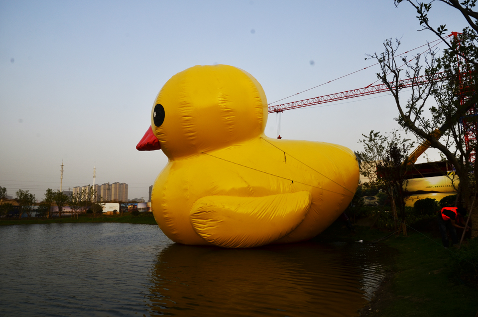 南通开发区天星湖畔出现大黃鸭 (2).jpg