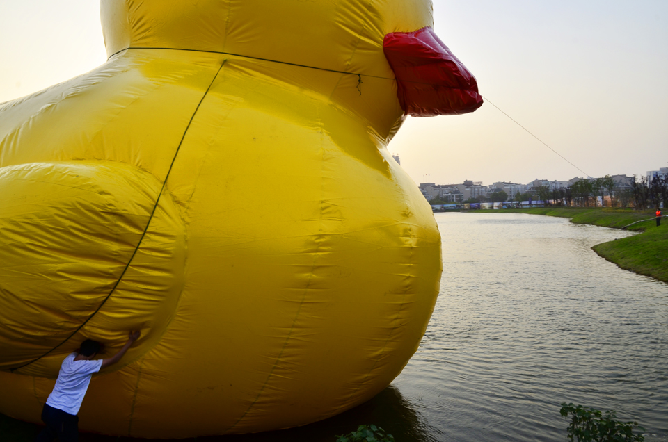 南通开发区天星湖畔出现大黃鸭 (4).jpg