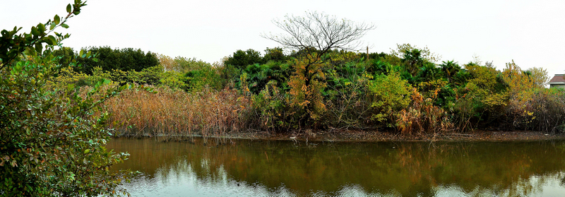 未标题_全景图2 副本.jpg
