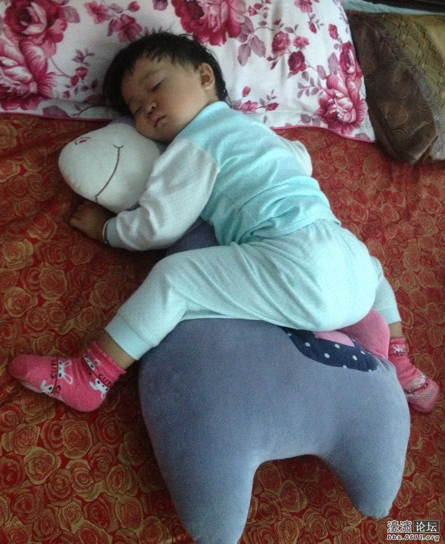 睡觉我也抱着马儿