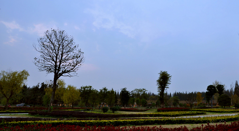 未标题_全景图11 副本.jpg