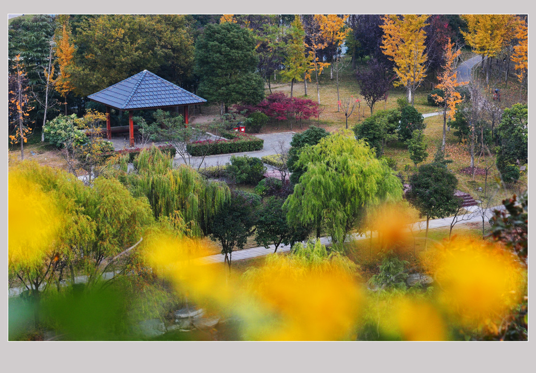 园博园秋色浓浓   钱伟章摄 (4).jpg